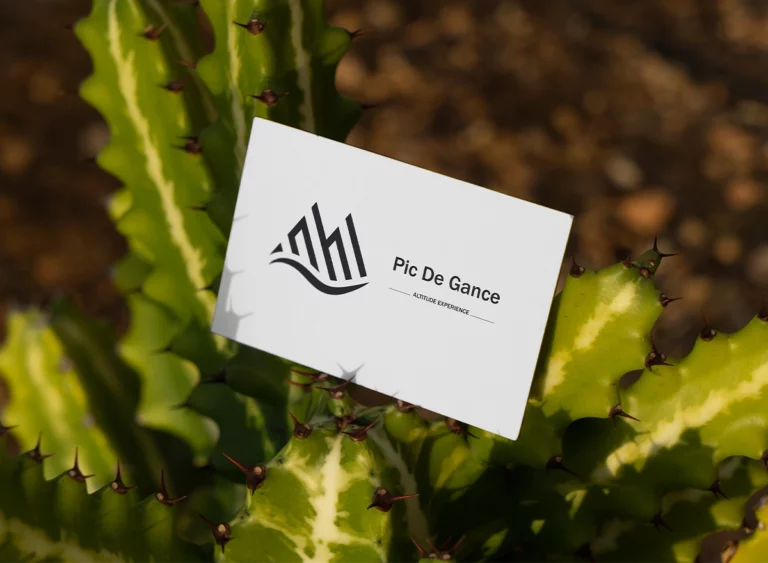 Visuel mockup carte de visite Picdegance posée sur un cactus