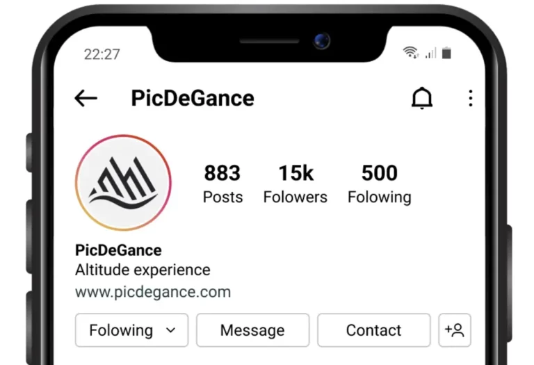 Visuel : profil Instagram Picdegance sur iPhone avec logo